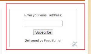 'email subscription text box’ with ‘Subscribe’ button